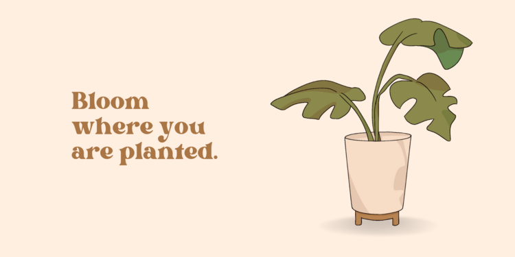 Freelancer's Portfolio Cover Image - Hessah - Graphic Design