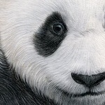 Testimonial from The Load of the Bamboos - Director of Bamboo Affairs | Find and hire freelancers and companies in Kuwait through Phinests - Photography, Graphic Design, Videography, Marketing, Branding, Modeling, and more.